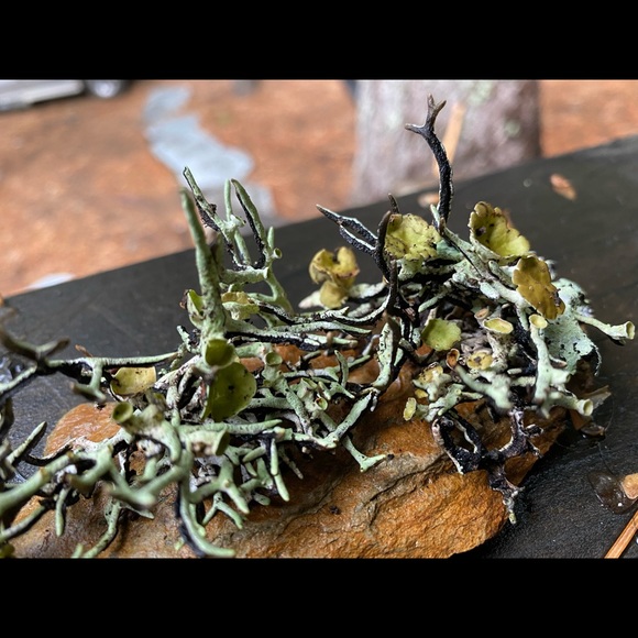 ABOUT ME - Picture 9 of 12